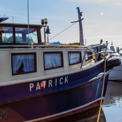 Stöckter Hafen - Patrick
