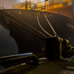 ULSAN EXPRESS im Nebel