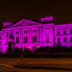 Weltmädchentag 2016 - Rathaus Altona